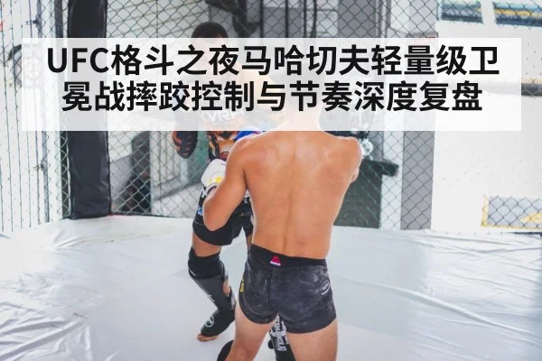 MMA cage fight - DOTA2